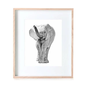 Photographic Elephant Print